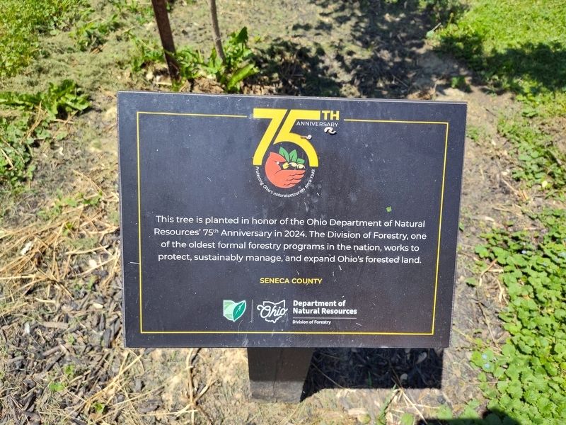 Ohio Department of Natural Resources 75th Anniversary Marker image. Click for full size.
