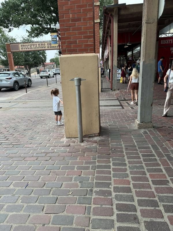 Fort Worth Stockyards Hog and Sheep Markets Marker image. Click for full size.