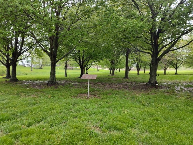Vietnam Memorial image. Click for full size.