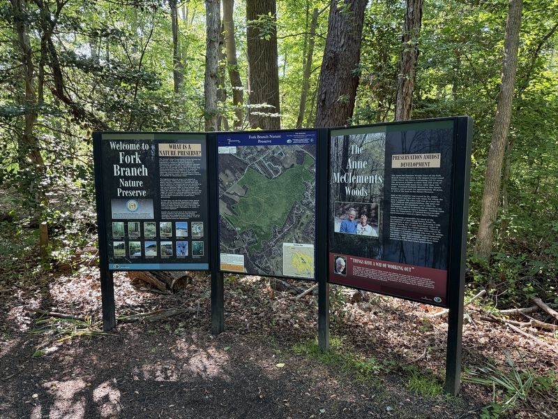 The Anne McClements Woods Marker image. Click for full size.
