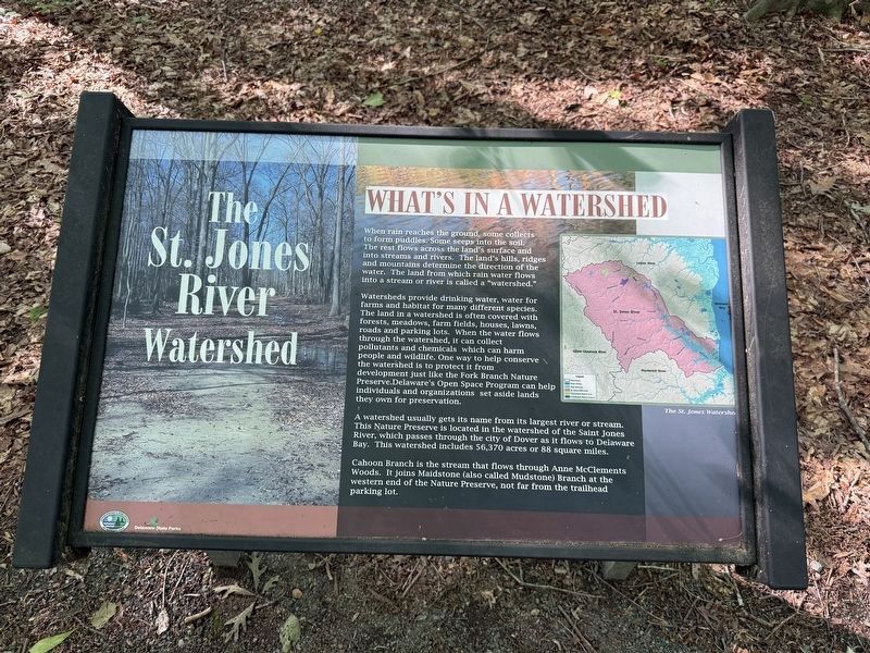 The St. Jones River Watershed [signage along the trail] image. Click for full size.