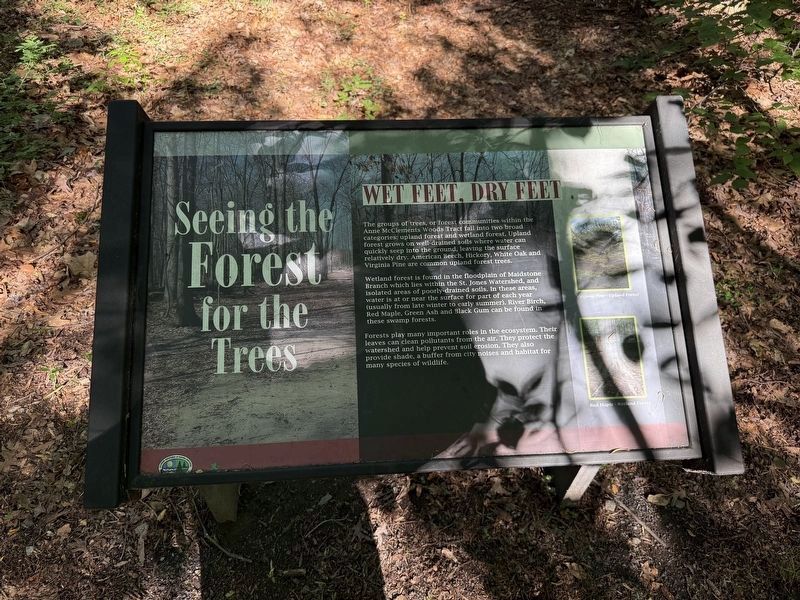 Seeing the Forest for the Trees [signage along the trail] image. Click for full size.