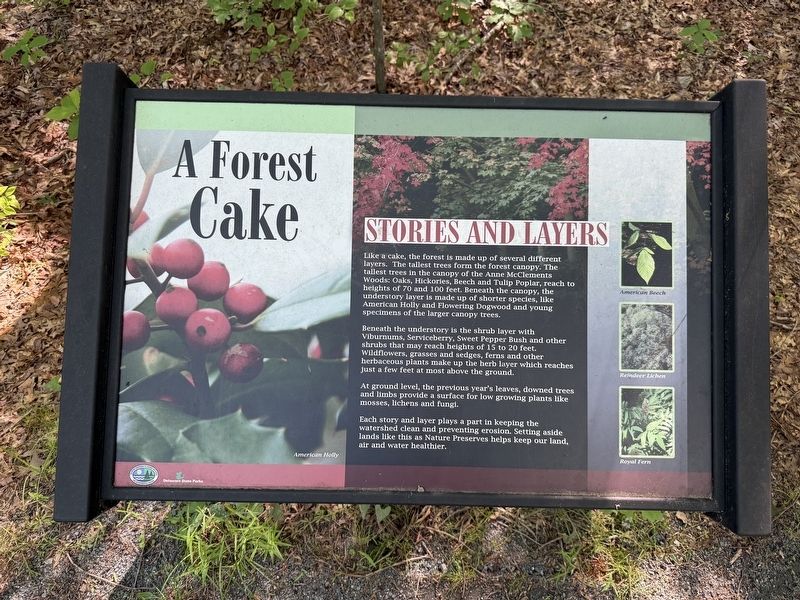 A Forest Cake [signage along the trail] image. Click for full size.