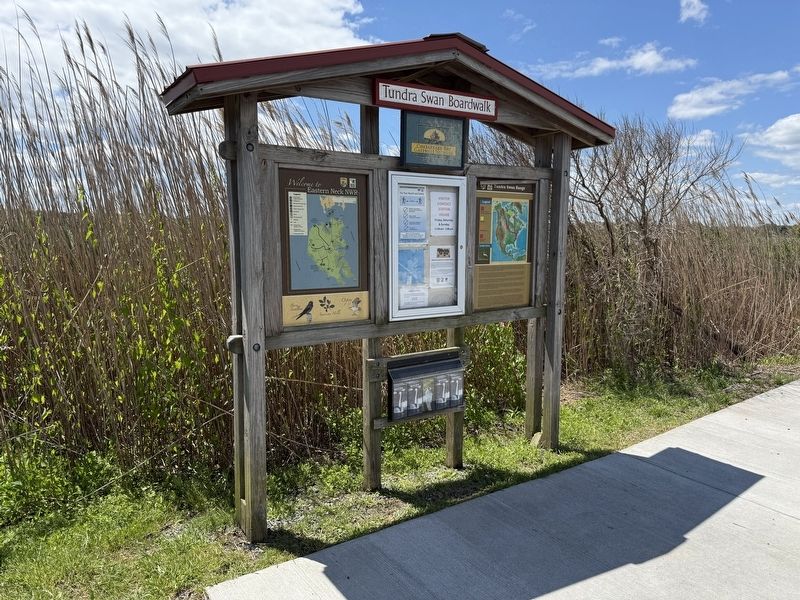 Tundra Swan Range Marker image. Click for full size.