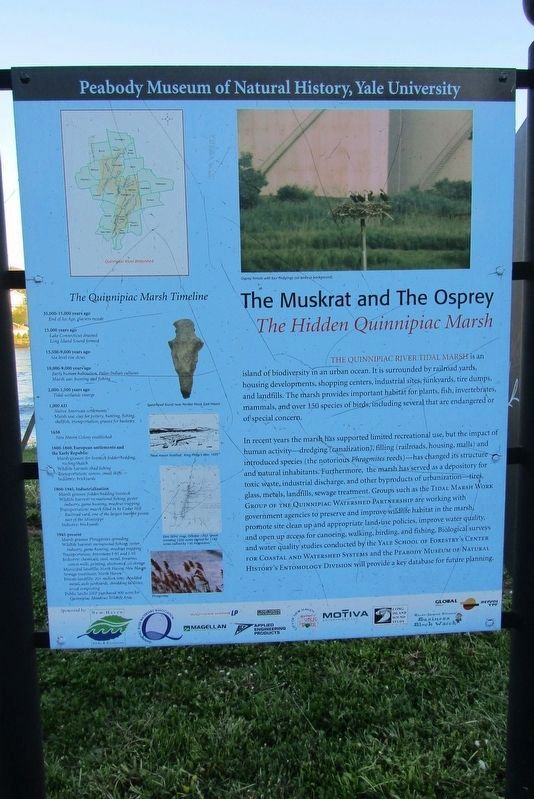 The Quinnipiac Marsh Timeline Marker image. Click for full size.