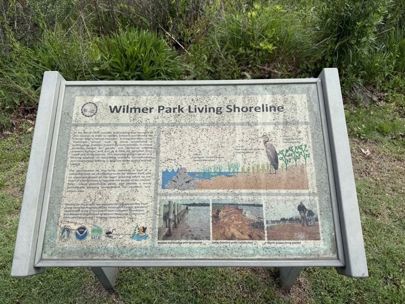 Wilmer Park Living Shoreline Marker image. Click for full size.