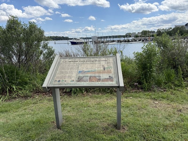 Wilmer Park Living Shoreline Marker image. Click for full size.