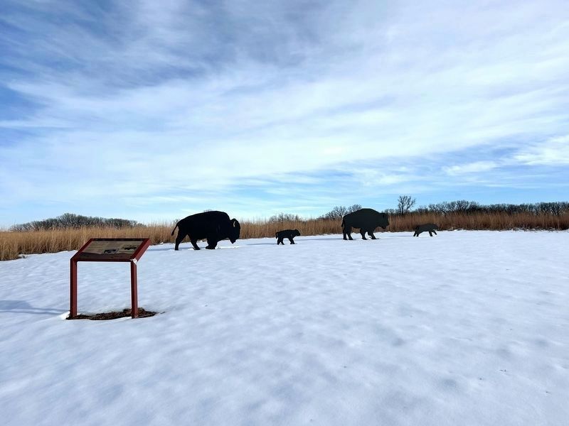 The Missing Bison Marker. Click for full size. The Missing Bison Marker image. Click for full size.