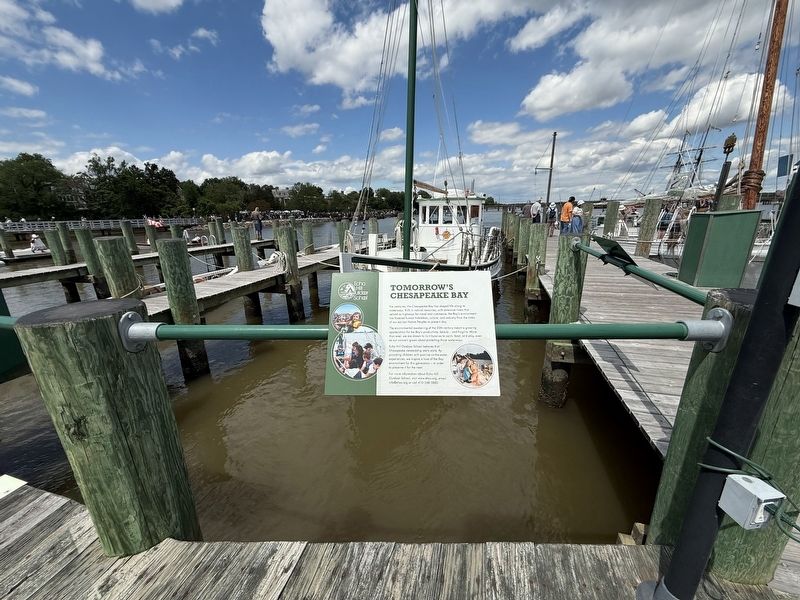 Tomorrow's Chesapeake Bay Marker image. Click for full size.