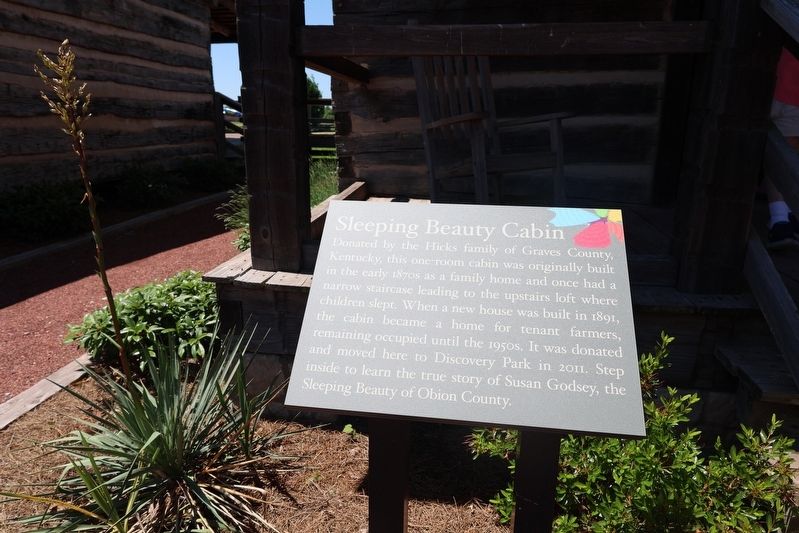 Sleeping Beauty Cabin Marker. Click for full size. Sleeping Beauty Cabin Marker image. Click for full size.
