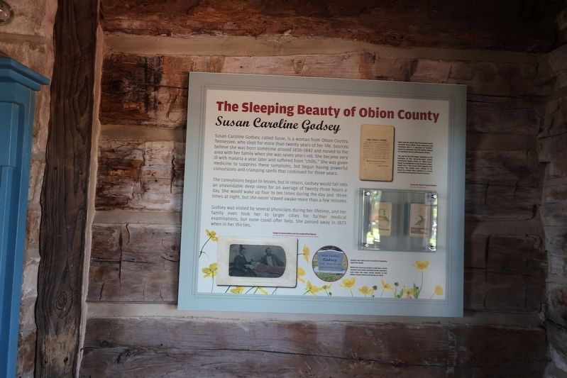 Sleeping Beauty Cabin Marker. Click for full size. Sleeping Beauty Cabin Marker image. Click for full size.