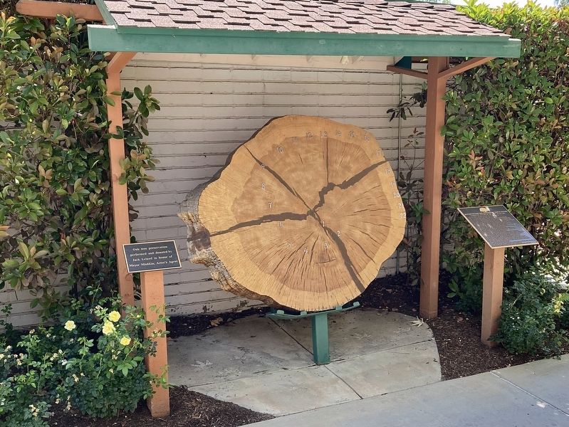 Motion Picture History Marker. Click for full size. Motion Picture History Marker image. Click for full size.