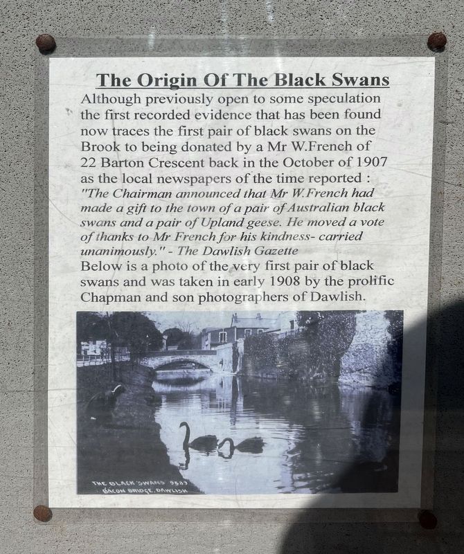 The Origin of the Black Swans Marker image. Click for full size.