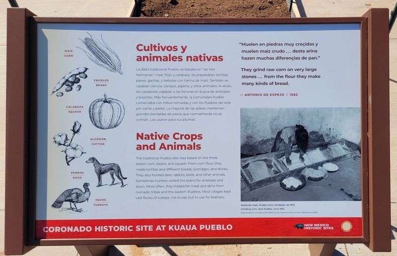 Cultivos y animales nativas / Native Crops and Animals Marker image. Click for full size.