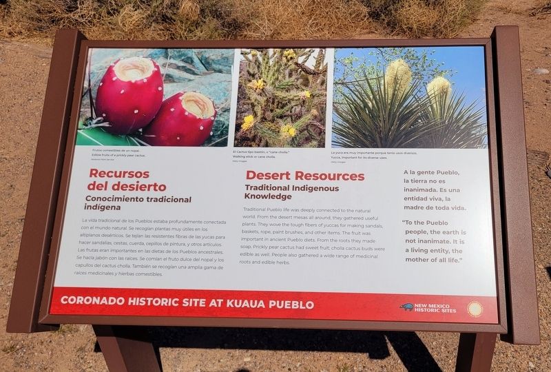 Recursos del desierto / Desert Resources Marker. Click for full size. Recursos del desierto / Desert Resources Marker image. Click for full size.