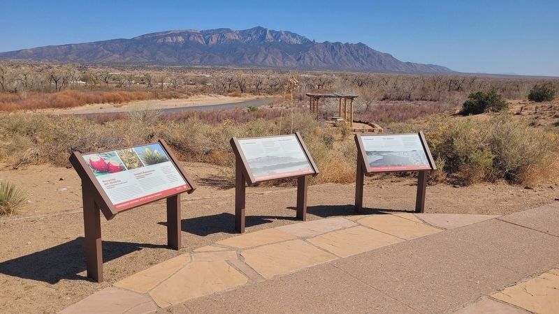 The Bosque Marker (Right side) image. Click for full size.