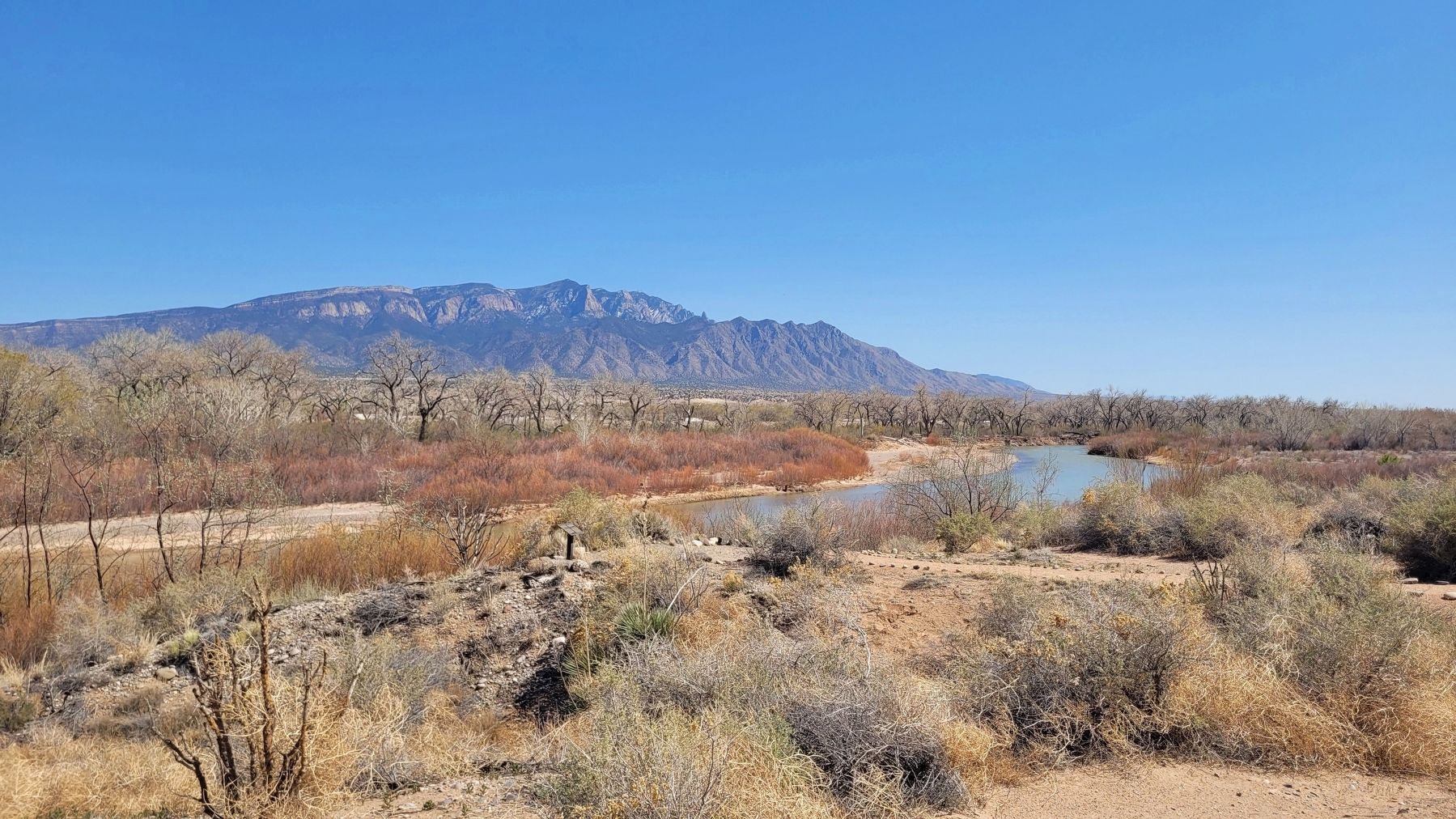 The cottonwood trees line the far side of the Rio Grande River image. Click for full size.