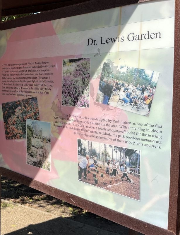Dr. Lewis Garden Marker. Click for full size. Dr. Lewis Garden Marker image. Click for full size.