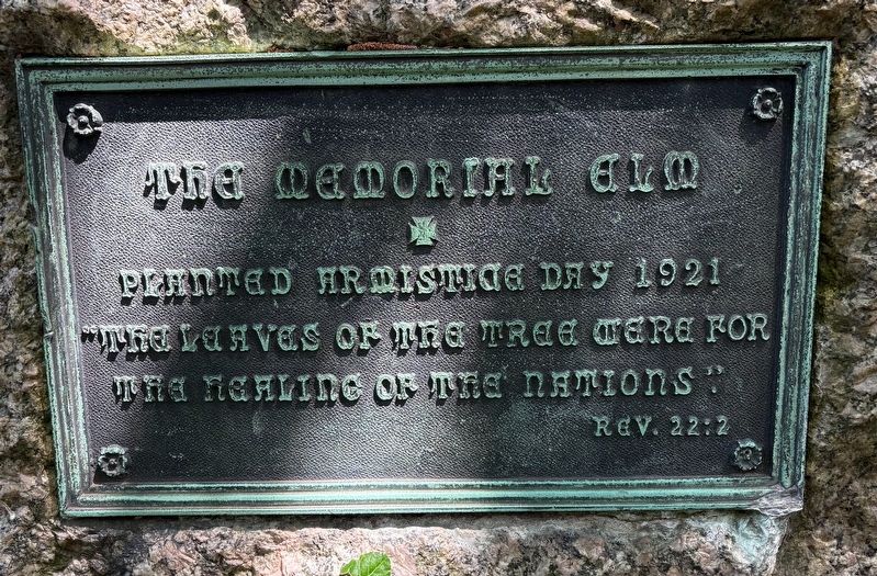 The Memorial Elm Marker image. Click for full size.