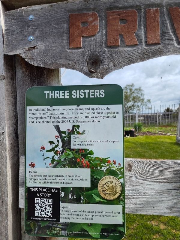 Three Sisters Marker. Click for full size. Three Sisters Marker image. Click for full size.