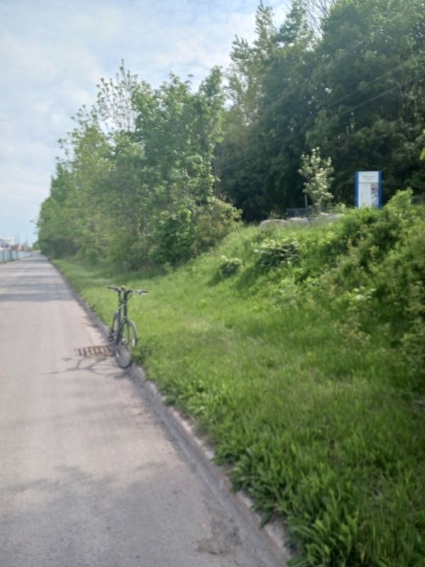 Williamson Point marker in context, viewed from Welland Canals Parkway. Click for full size. Williamson Point marker in context, viewed from Welland Canals Parkway image. Click for full size.