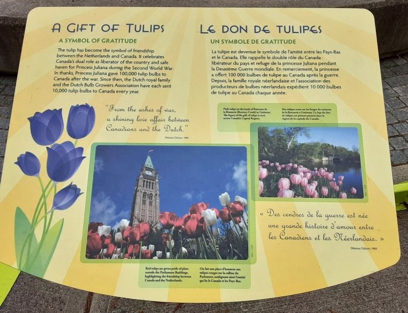 A Gift of Tulips/<lang=fr>Le don de tulipes</lang=fr> Marker image. Click for full size.