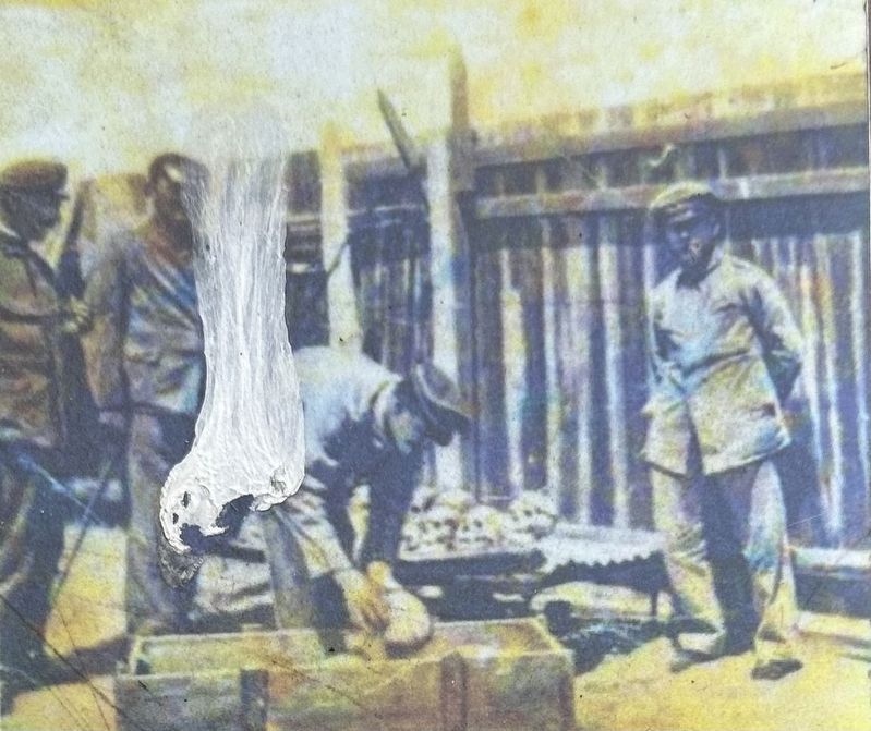 Marker photo: Skulls being shipped image. Click for full size.