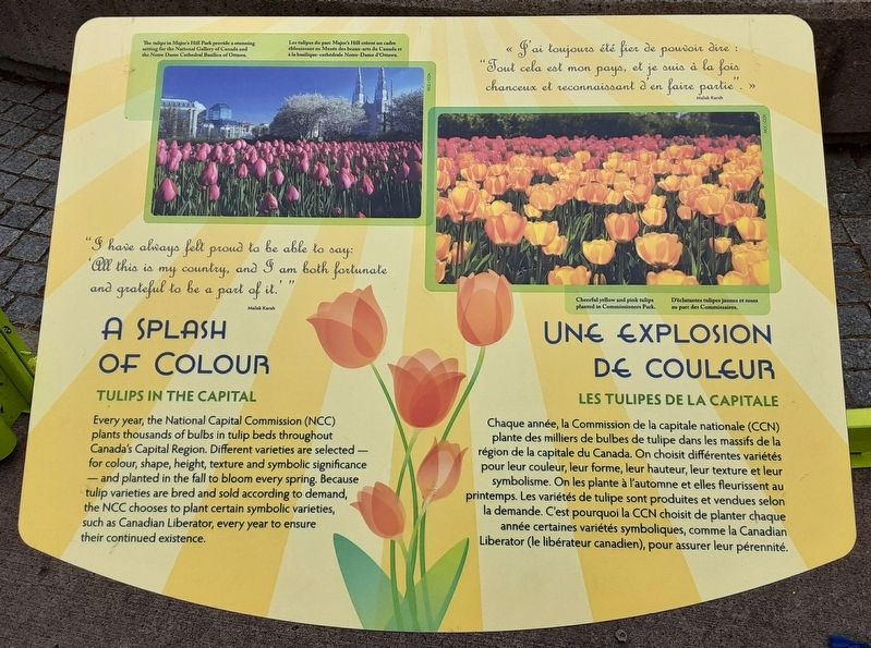 A Splash of Colour/<lang=fr>Une explosion de couleur</lang=fr> Marker image. Click for full size.