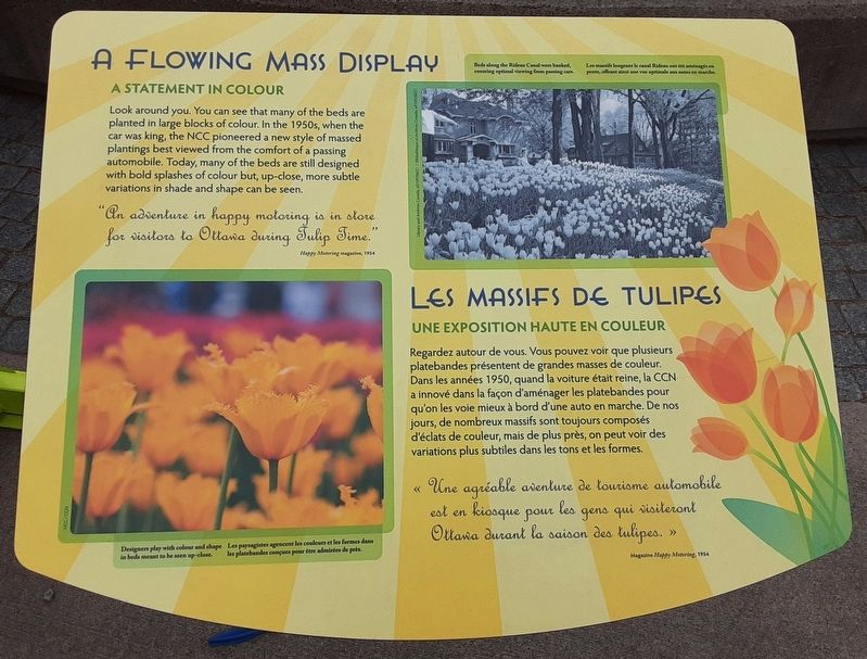 A Flowering Mass Display/<lang=fr>Les massifs de tulipes</lang=fr> Marker image. Click for full size.