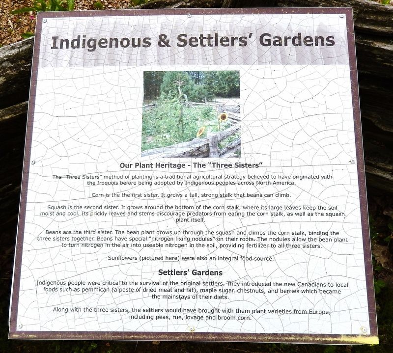 Indigenous & Settlers' Gardens Marker image. Click for full size.