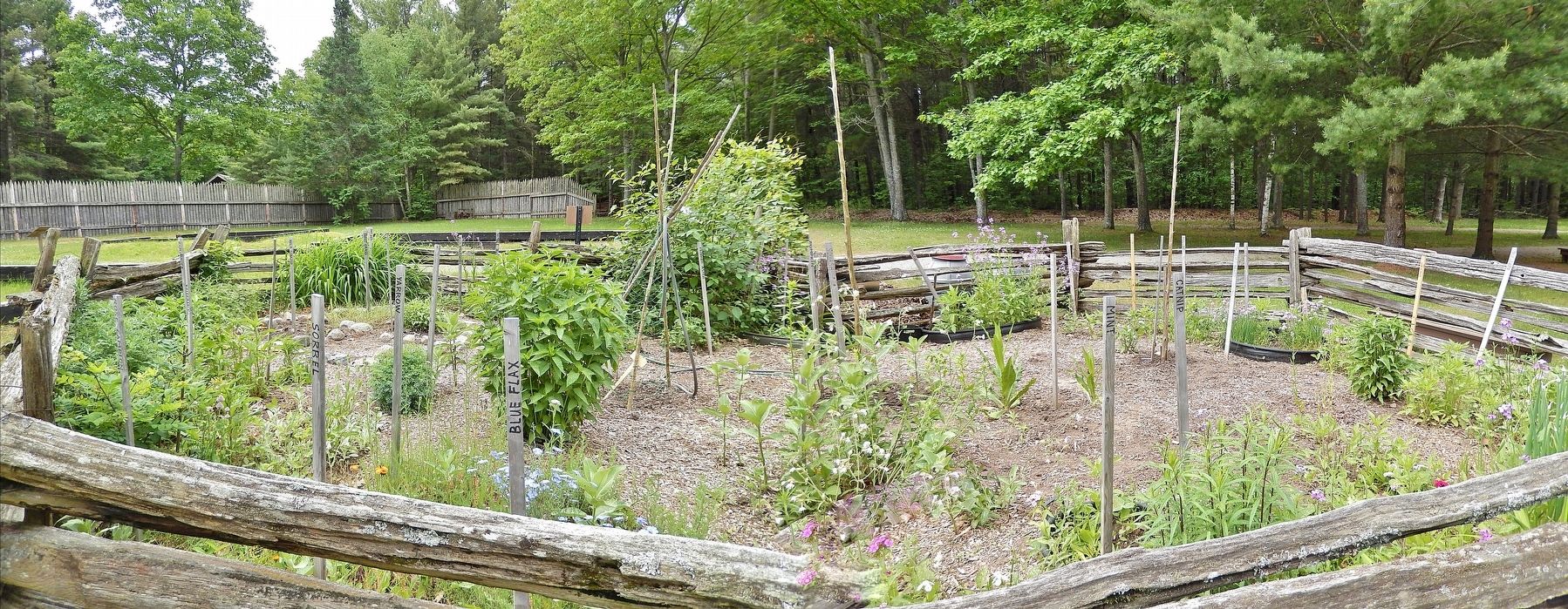 Indigenous & Settlers' Gardens image. Click for full size.
