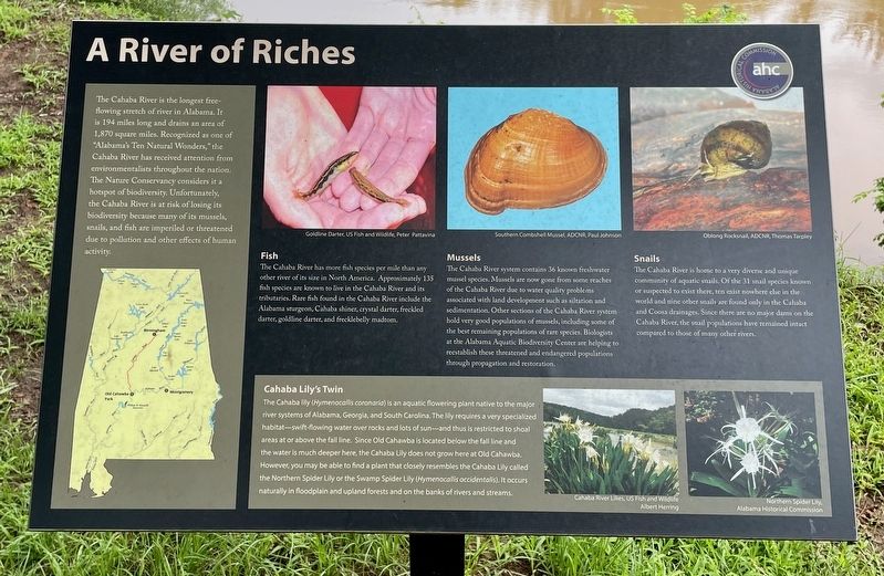 A River of Riches Marker image. Click for full size.