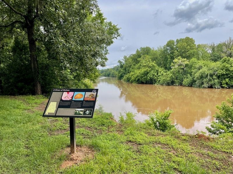 View of marker & Cahaba River. image. Click for full size.