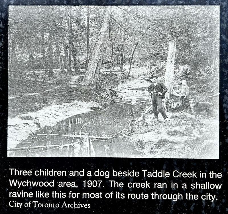 Taddle Creek marker photos and captions and caption detail (left) image. Click for full size.