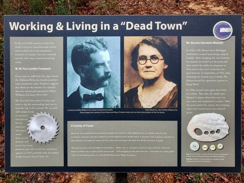 Working and Living in a "Dead Town" Marker. Click for full size. Working and Living in a "Dead Town" Marker image. Click for full size.