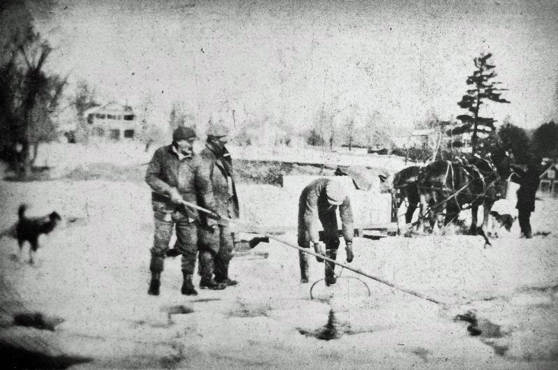 Marker detail: Ice blocks are being loaded at Shanty Bay to be drawn to nearby icehouses. Click for full size. Marker detail: Ice blocks are being loaded at Shanty Bay to be drawn to nearby icehouses image. Click for full size.
