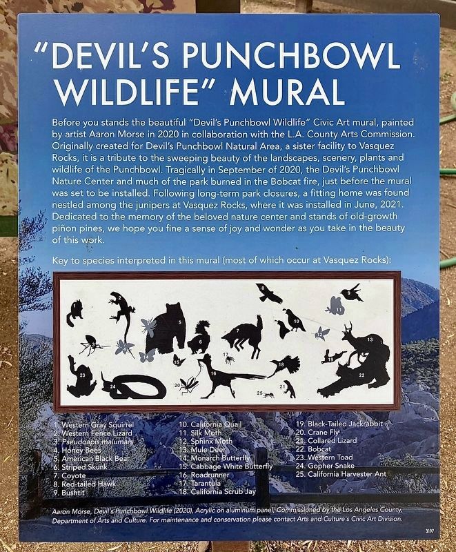 "Devil’s Punchbowl Wildlife" Mural Marker. Click for full size. "Devil’s Punchbowl Wildlife" Mural Marker image. Click for full size.