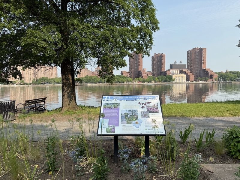 Welcome to the Water's Edge Garden Marker. Click for full size. Welcome to the Water's Edge Garden Marker image. Click for full size.