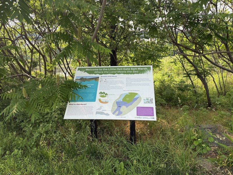 Welcome to the Little Hell Gate Salt Marsh Marker. Click for full size. Welcome to the Little Hell Gate Salt Marsh Marker image. Click for full size.