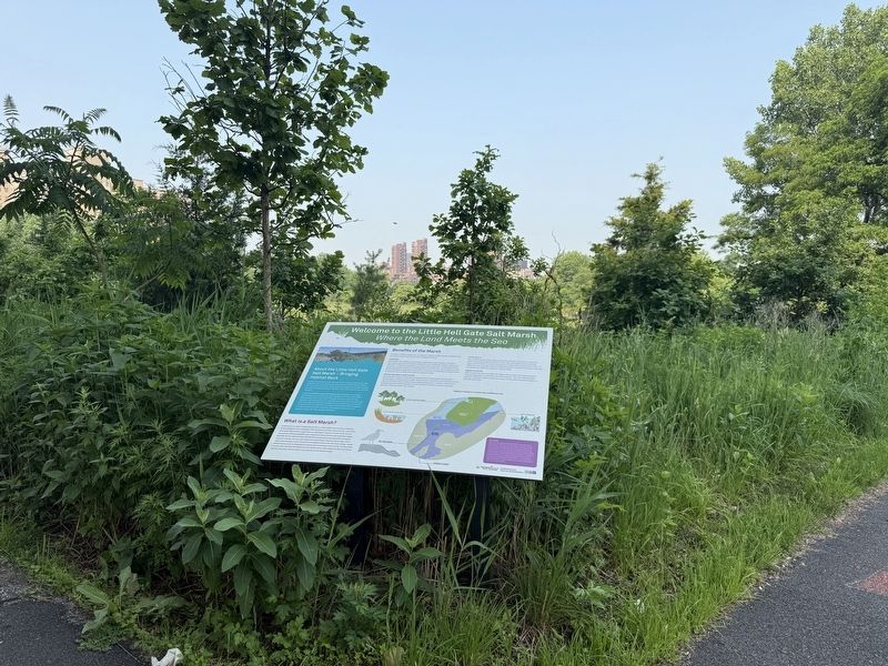 Welcome to the Little Hell Gate Salt Marsh Marker. Click for full size. Welcome to the Little Hell Gate Salt Marsh Marker image. Click for full size.