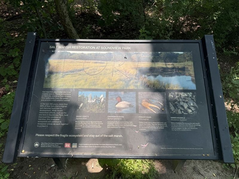 Salt Marsh Restoration at Soundview Park Marker. Click for full size. Salt Marsh Restoration at Soundview Park Marker image. Click for full size.