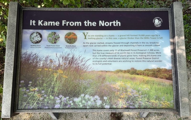 It Kame from the North Marker. Click for full size. It Kame from the North Marker image. Click for full size.