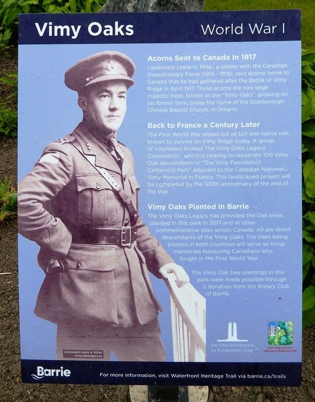Vimy Oaks Marker image. Click for full size.