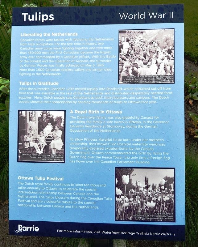 Tulips Marker image. Click for full size.