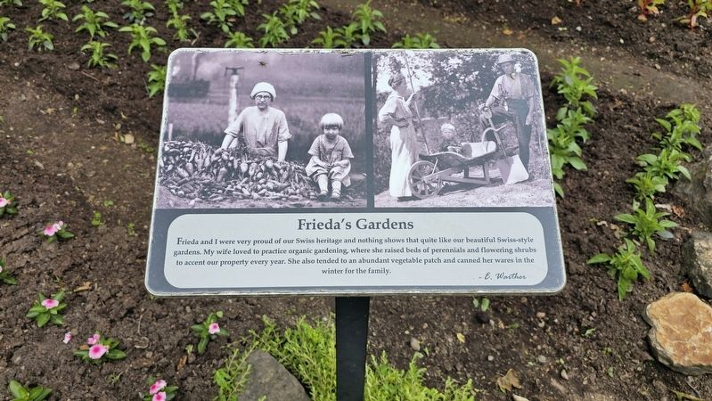 Frieda's Gardens Marker. Click for full size. Frieda's Gardens Marker image. Click for full size.