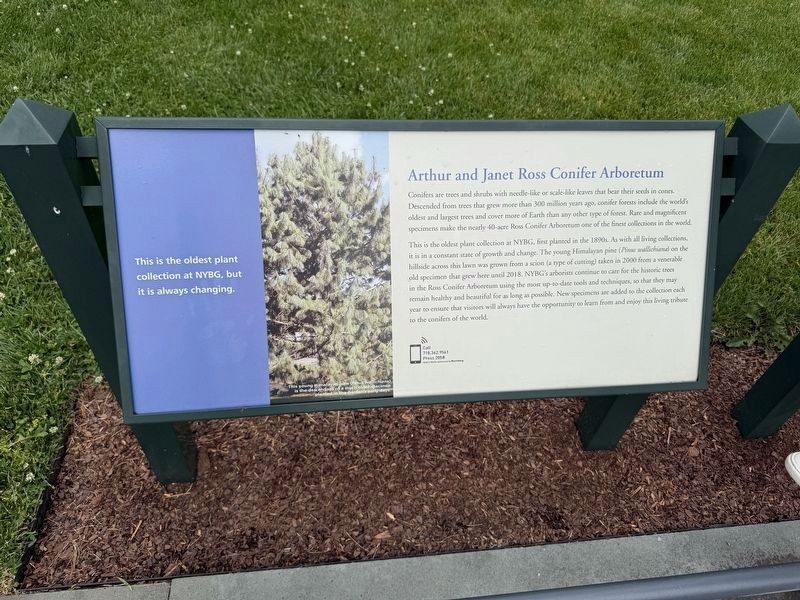 Arthur and Janet Ross Conifer Arboretum Marker. Click for full size. Arthur and Janet Ross Conifer Arboretum Marker image. Click for full size.
