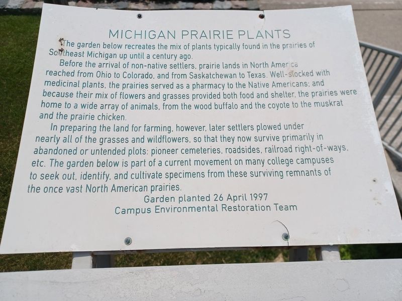 Michigan Prairie Plants Marker image. Click for full size.