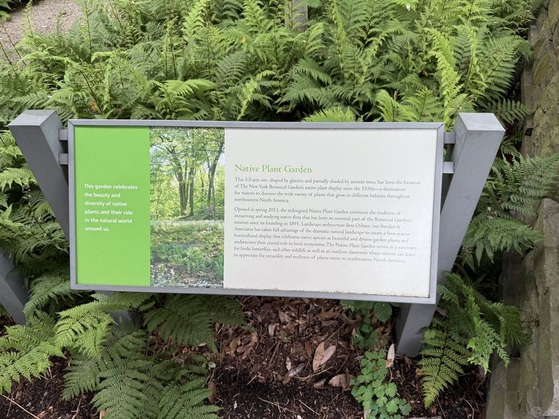 Native Plant Garden Marker. Click for full size. Native Plant Garden Marker image. Click for full size.