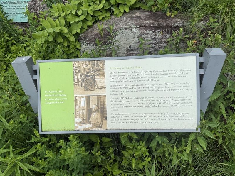 A History of Native Plants Marker. Click for full size. A History of Native Plants Marker image. Click for full size.
