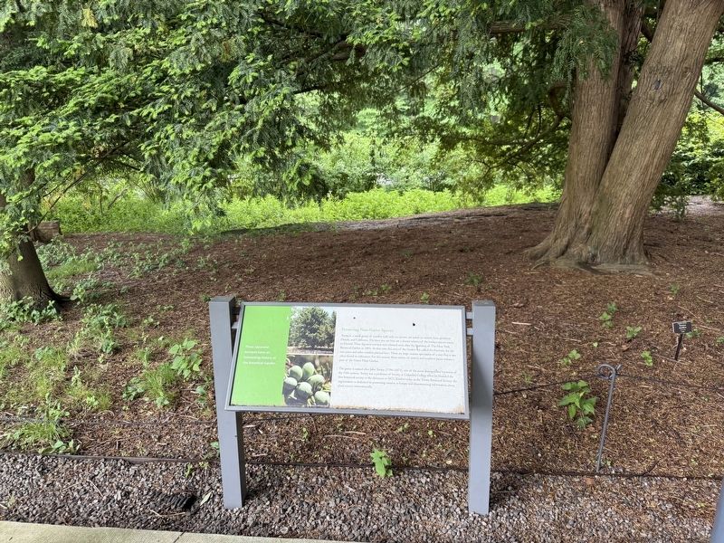 Preserving Non-Native Species Marker. Click for full size. Preserving Non-Native Species Marker image. Click for full size.